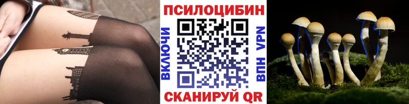 Псилоцибиновые грибы GOLDEN TEACHER  цены наркотик  Уварово 