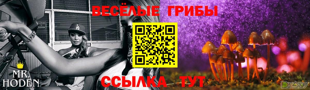 Псилоцибиновые грибы Cubensis  Вход с VPN  Псилоцибиновые грибы мицелий  Уварово 
